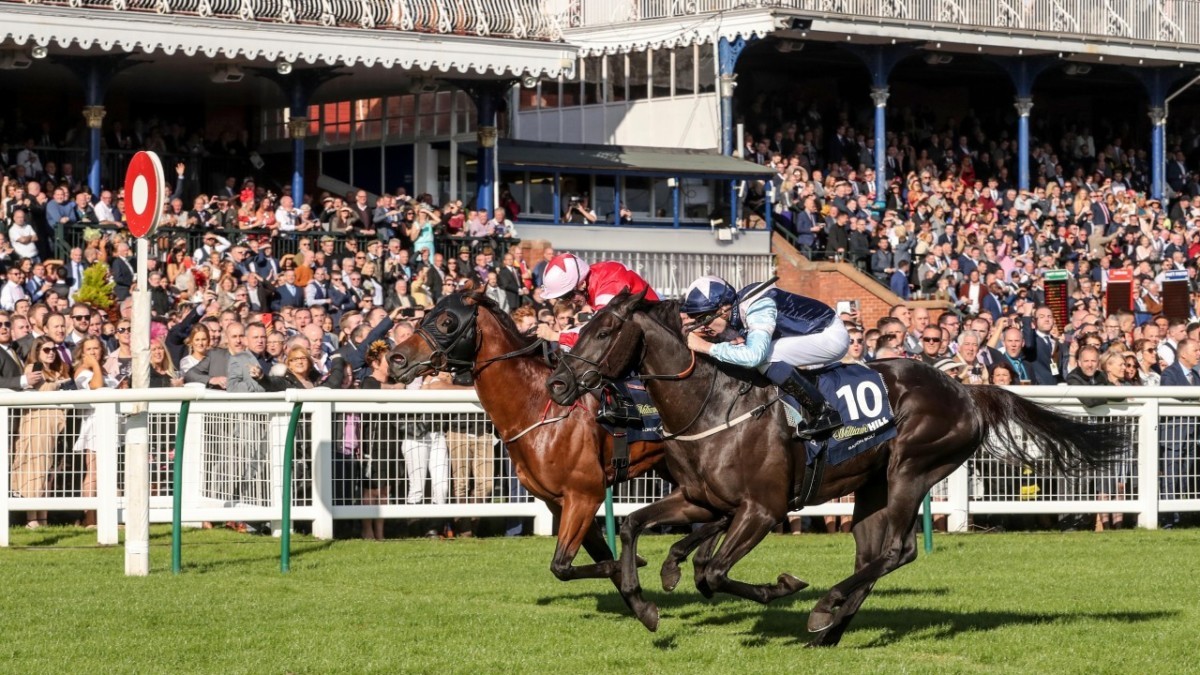 What is the Ayr Gold Cup?