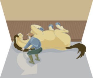 What does it mean if a horse is 'cast' in its box?  