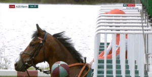 If my horse refuses to race, do I lose my money?  