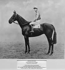Before Tiger Roll and Red Rum, which was the last horse to win the Grand National two years running?  