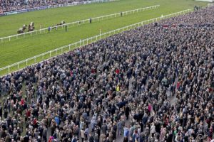 How many races at the Cheltenham Festival are handicaps?  