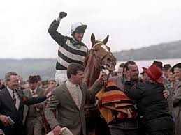 Which are the biggest outsiders to win the Cheltenham Gold Cup?  