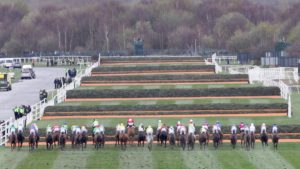 How many races are run over the Grand National fences each year?  