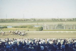 What were the largest and smallest fields for the Grand National?  
