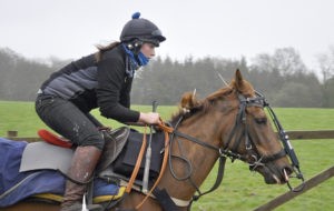 What does wind surgery on a racehorse involve?  
