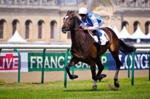 What is flat racing?  