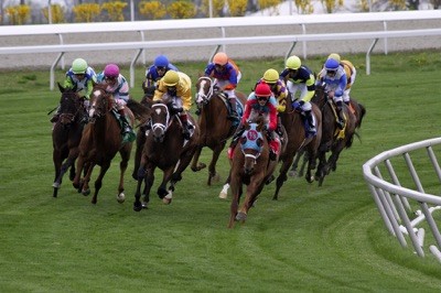 What causes draw bias? - HorseRacingQA.com