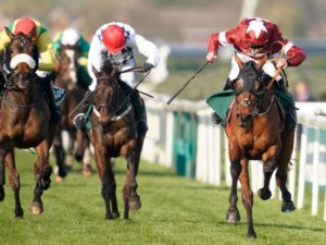 Which is the smallest fence on the Grand National Course?  
