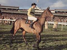 How many Cheltenham Festival races are named after horses?  