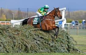 Which horse is favourite for the 2022 Grand National?  