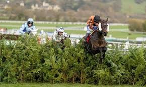 Which is the best Grand National trial?  