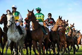 What's the average number of finishers in the Grand National?  