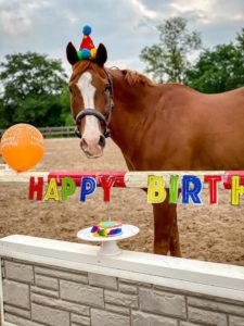 Is It True All Racehorses Have Their Birthday on January 1st?  