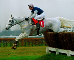 How many steeplechases did Desert Orchid win?  