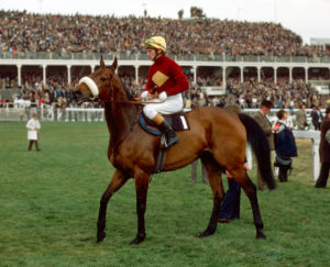 How old was Red Rum when he won his third Grand National?  