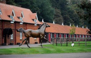 Who owns Cheveley Park Stud? 
