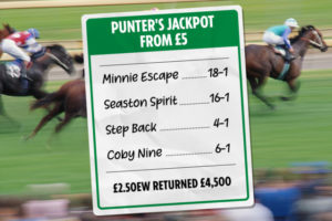 Is a Four-Fold Each-Way Accumulator a Good Bet?  