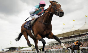 Which horse came closest to beating Frankel?  