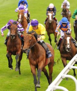 How does Sea The Stars rate in Timeform's historical pecking order?  