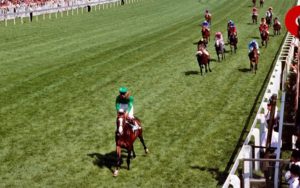 Was Shergar unbeaten?  