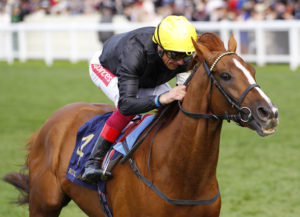 Where, and when, did Stradivarius make his racecourse debut?  