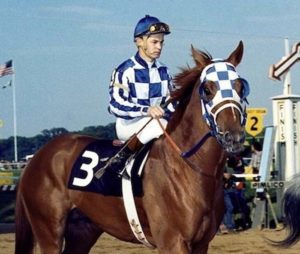 Which were the top five American racehorses of all time?  