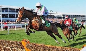 Since World War II, how many five-year-olds have won the Champion Hurdle?  