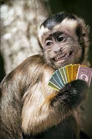 Why is £500 known as a 'monkey' in betting slang?  