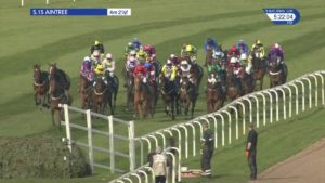 Can any horse run in the Grand National?  
