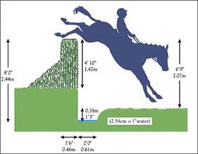 Which fences are jumped just once during the Grand National?  