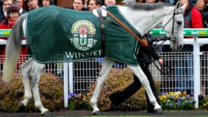 What sort of record do grey horses have in the Grand National?  