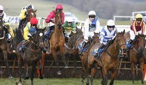 Which horse won the Welsh Grand National in 2009?  