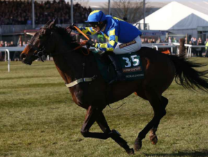 Three Common Mistakes to Avoid When Betting on Horses  