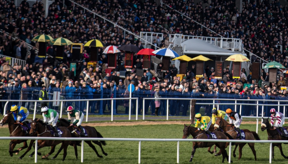 Dublin Racing Festival What it Tells Us About Cheltenham