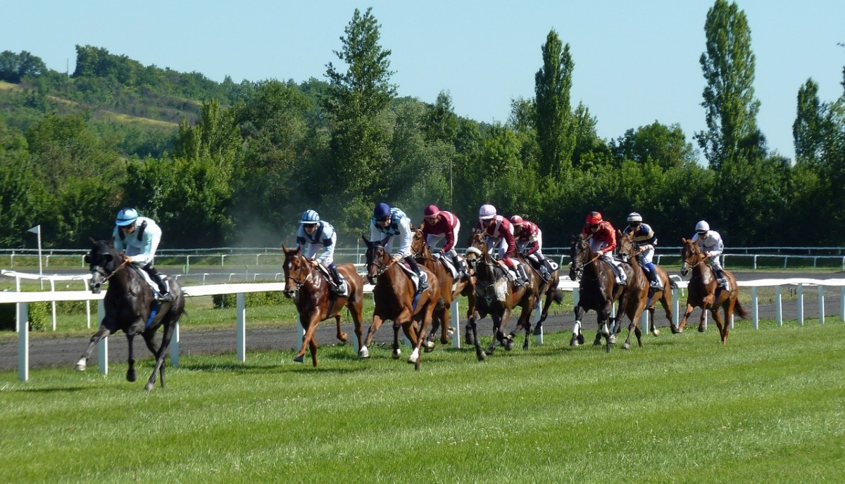 The Role of Horse Racing in Society: A Cultural History of Horse Betting  