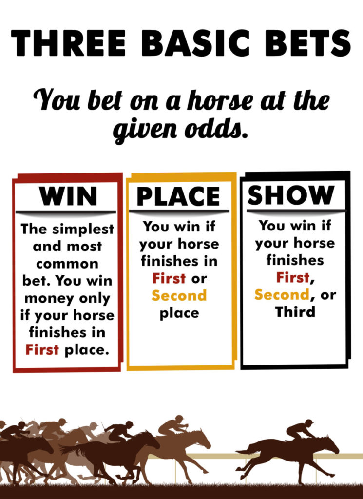 A guide to understanding Horse Racing odds  