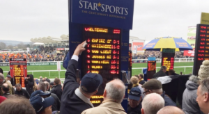 Cheltenham Betting Preview  
