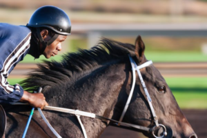 Betting on the Kentucky Derby 2023: Future Wager Pools and Betting Options  