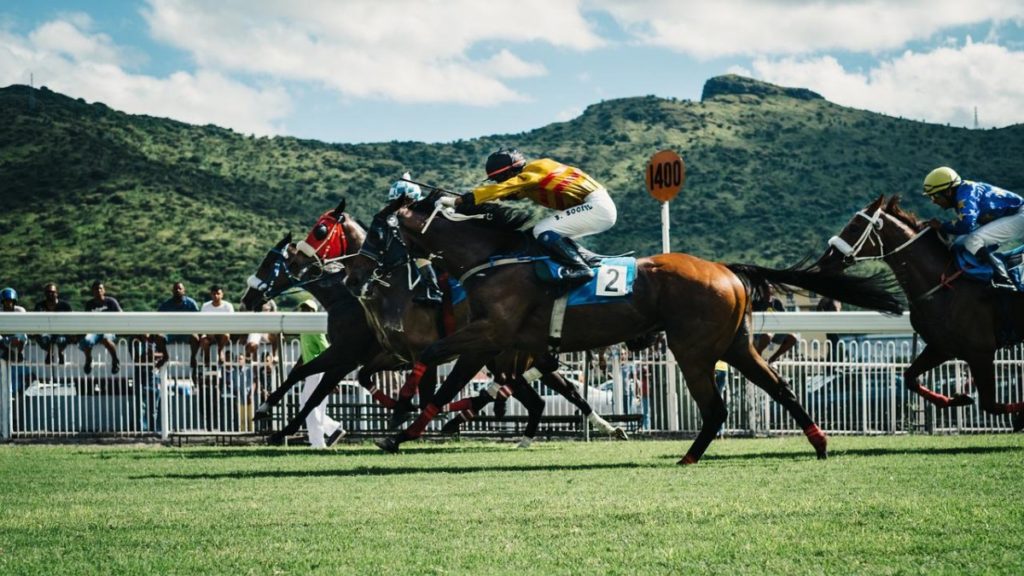 Horse Racing Bonuses 2023: FAQs  