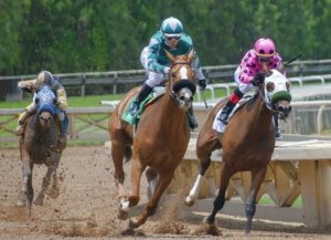 Which is the only horse to win the Breeders' Cup Classic more than once?  