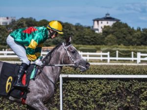 Which Horses Will Win the Biggest Races in 2024?  