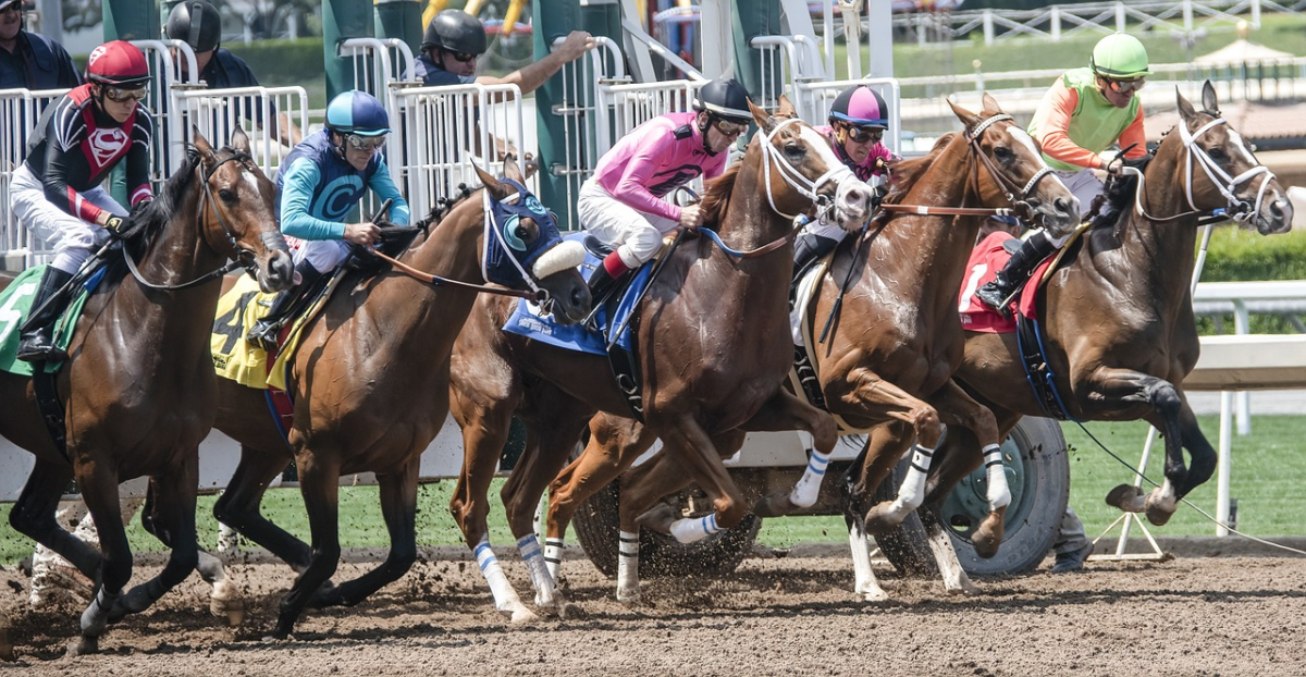 Top Invitees to Watch Out For At The 2024 Pegasus World Cup  