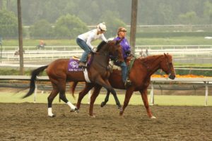 Mine That Bird Coming To The Kentucky Derby Museum  