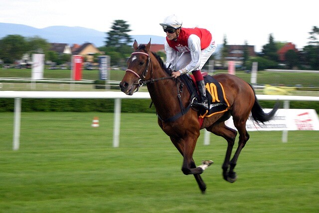 The Most Memorable Grand National Winner Interviews  