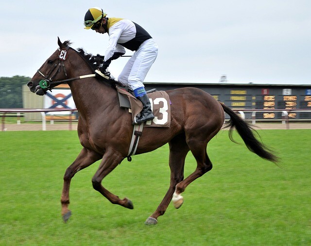 The Most Asked Questions About The Grand National  
