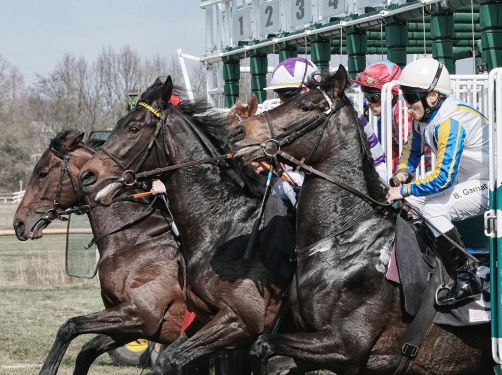 What’s the Price of Passion? Racehorse Ownership Costs in 2025  