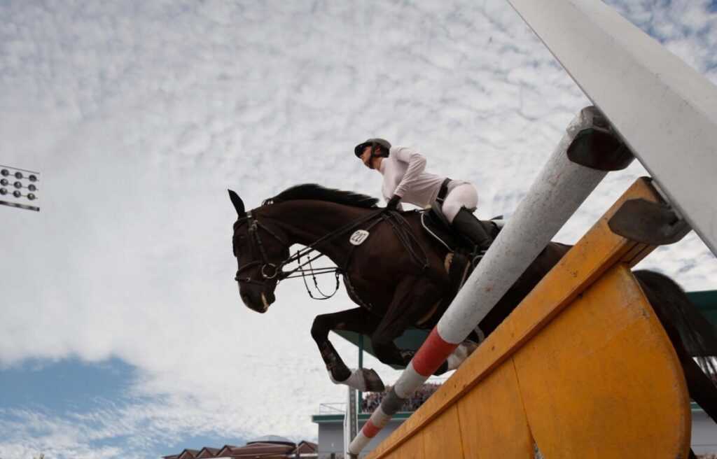 Why You Should Bet on Horses Before the Market Reacts  