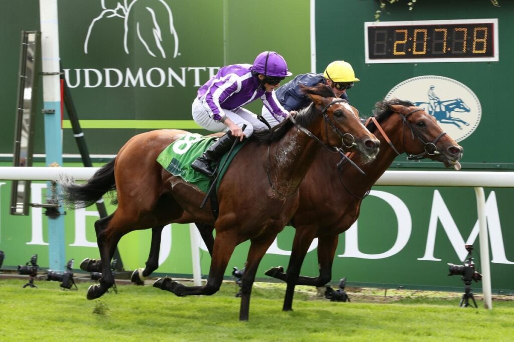 Recent British-trained winners of the Irish Champion Stakes  